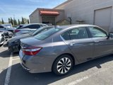 Used 2017 Honda Accord EX-L image 6