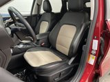 Used 2022 Ford Escape Titanium w/ Titanium Premium Package image 4