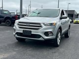 Used 2019 Ford Escape SE image 3