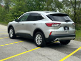 Used 2020 Ford Escape SE image 4