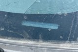 Used 2015 Toyota Prius Four image 3