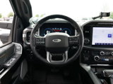 Certified 2023 Ford F150 Platinum w/ Equipment Group 701A High image 2