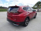 Certified 2021 Honda CR-V Special Edition image 4