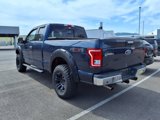 Used 2015 Ford F150 XLT w/ Equipment Group 302A Luxury image 5
