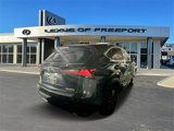 Used 2020 Lexus NX 300 F Sport image 2