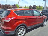 Used 2014 Ford Escape SE image 4