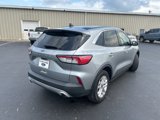 Used 2021 Ford Escape SE w/ Convenience Package image 4