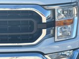 Used 2021 Ford F150 XLT w/ Equipment Group 301A Mid image 4