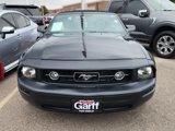Used 2007 Ford Mustang Deluxe image 6
