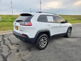 Used 2020 Jeep Cherokee Trailhawk w/ Cold Weather Group image 3