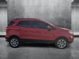 Used 2020 Ford EcoSport SE image 4