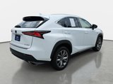 Used 2021 Lexus NX 300 F Sport w/ F Sport Premium Package image 5