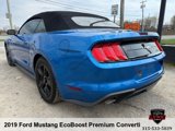 Used 2019 Ford Mustang Premium image 3