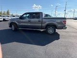 Used 2014 Ford F150 XLT w/ Equipment Group 302A Luxury image 2