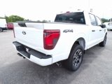 New 2025 Ford F150 STX w/ Equipment Group 200A image 4