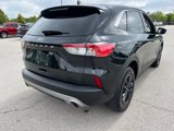 Used 2022 Ford Escape SE w/ Convenience Package image 4