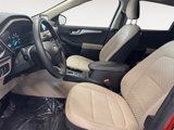 Used 2020 Ford Escape SE image 6