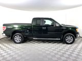 Used 2013 Ford F150 XLT w/ Luxury Equipment Group image 4