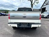 Used 2009 Ford F150 Platinum image 4