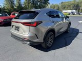 Used 2023 Lexus NX 350 AWD w/ Premium Package image 3