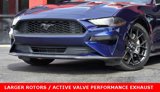 Used 2019 Ford Mustang Premium w/ Ecoboost Performance Package image 2