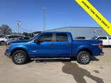 Used 2012 Ford F150 XLT w/ XLT Chrome Pkg image 4
