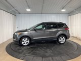 Used 2016 Ford Escape SE w/ Equipment Group 201A image 2