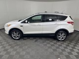 Used 2014 Ford Escape Titanium image 5