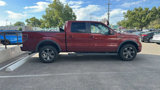 Used 2014 Ford F150 FX4 w/ Equipment Group 402A Luxury image 3