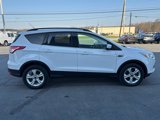 Used 2014 Ford Escape SE w/ Equipment Group 201A image 2