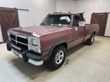 Used 1992 Dodge D/W Truck 250 image 3