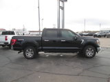 Used 2021 Ford F150 XLT w/ Equipment Group 302A High image 4