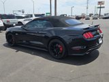 Used 2017 Ford Mustang GT Premium w/ Equipment Group 401A image 4
