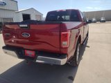 Used 2017 Ford F150 XLT w/ Equipment Group 302A Luxury image 5