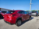 Used 2019 Lexus NX 300 FWD w/ Comfort Package image 5