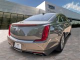 Used 2019 Cadillac XTS Luxury w/ Driver Awareness Package image 5