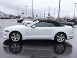 Used 2020 Ford Mustang Premium image 2
