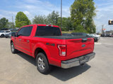 Used 2016 Ford F150 XLT w/ Equipment Group 302A Luxury image 4