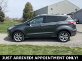 Used 2016 Ford Escape Titanium image 2