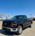 New 2025 Ford F150 XL w/ Equipment Group 103A High image 2