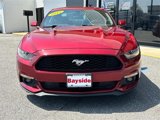 Used 2015 Ford Mustang Coupe w/ Equipment Group 051A image 4
