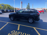 Certified 2024 Toyota RAV4 XLE image 3