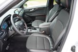 Used 2023 Ford Escape ST-Line image 5