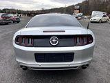 Used 2014 Ford Mustang Coupe w/ Equipment Group 102A image 4