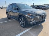 New 2024 Hyundai Tucson Limited image 4
