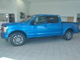 Used 2019 Ford F150 XLT w/ Equipment Group 302A Luxury image 5