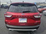 Used 2021 Ford Escape SE w/ Convenience Package image 4