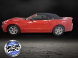 Used 2013 Ford Mustang Convertible image 2