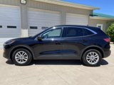 Used 2022 Ford Escape SE image 4