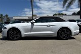 Used 2023 Ford Mustang Convertible w/ Equipment Group 101A image 6